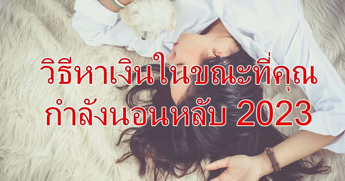 วิธีหาเงินในขณะที่คุณกำลังนอนหลับ 2023